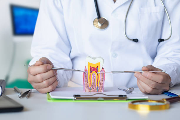 Best Same-Day Emergency Dental Services in River Road, NC